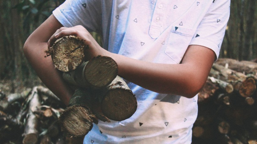 joao-silas-29217-unsplash